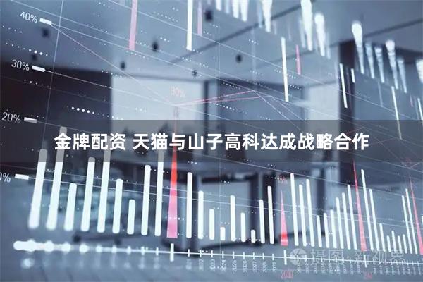 金牌配资 天猫与山子高科达成战略合作