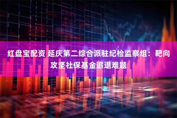 红盘宝配资 延庆第二综合派驻纪检监察组：靶向攻坚社保基金追退难题