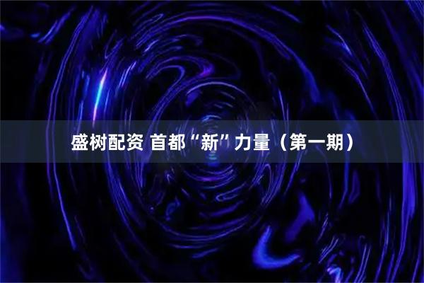 盛树配资 首都“新”力量（第一期）