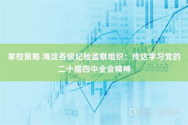 掌控策略 海淀各级纪检监察组织：传达学习党的二十届四中全会精神