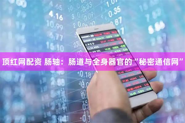 顶红网配资 肠轴：肠道与全身器官的“秘密通信网”